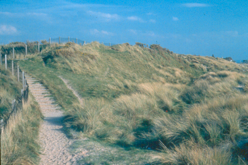 Coastal view